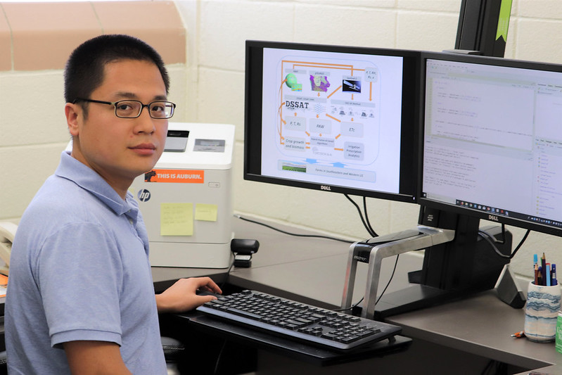 this photo shows Di Tian, an Auburn scientist focused on water-use efficiency