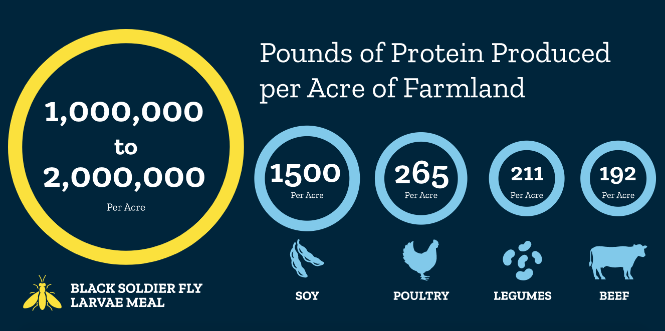 this infographic illustrates how insects can boost sustainable farming efforts