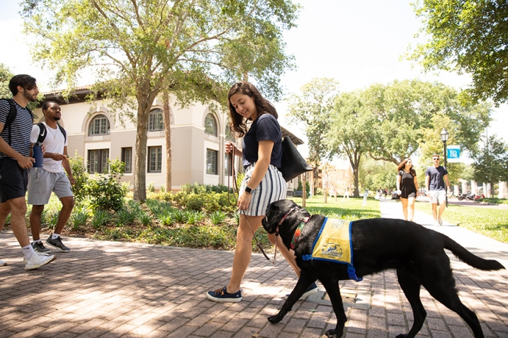 this photo illustrates how service dogs trained by Canine Companions for Independence help people with disabilities