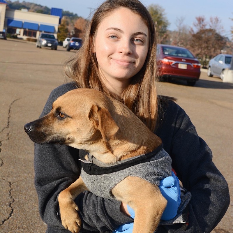 this photo shows Neely Griggs with a rescued dog getting ready for transport up north