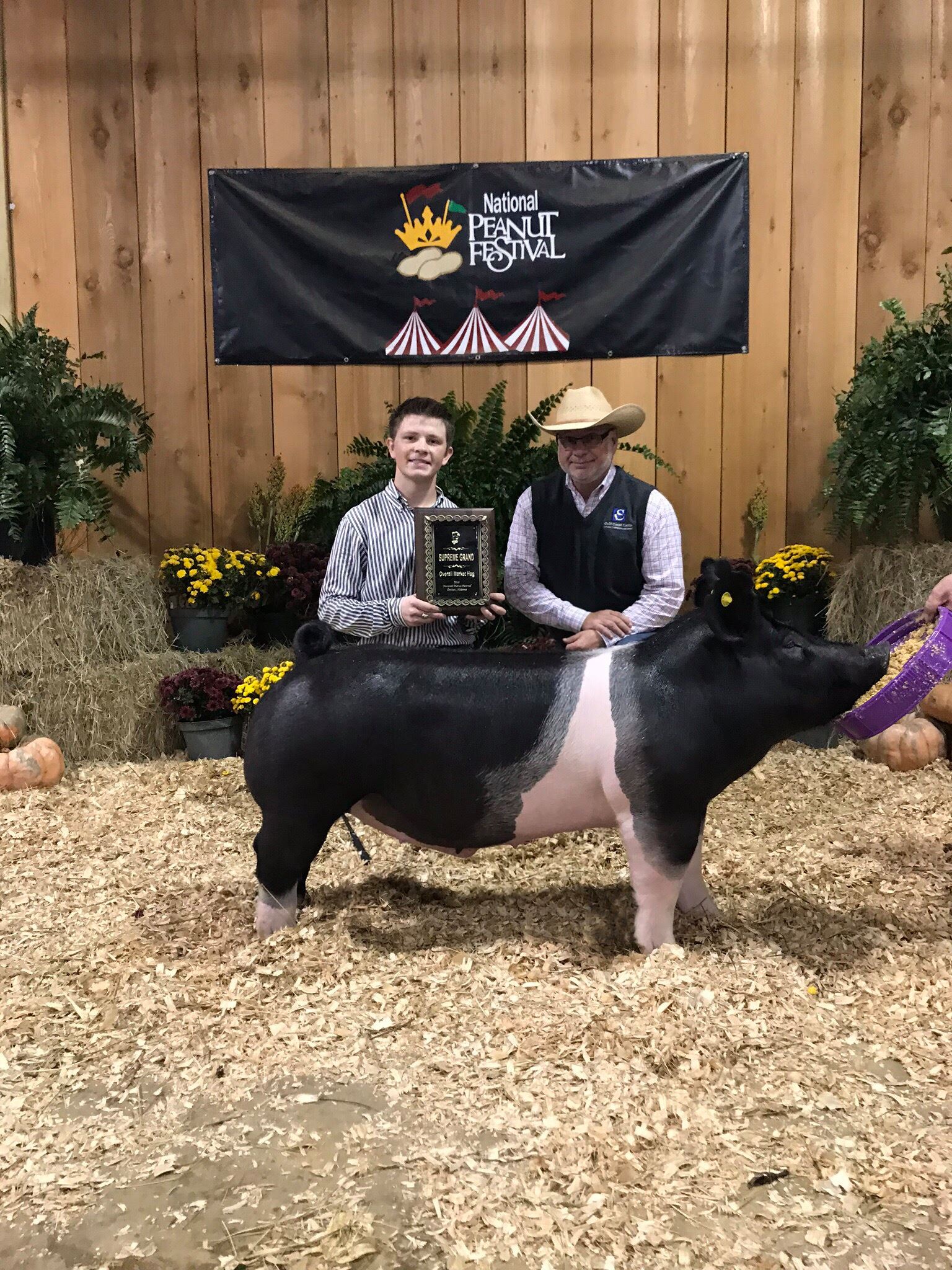 photo of Sullivan Award winner Paxton Peacock with a prize pig