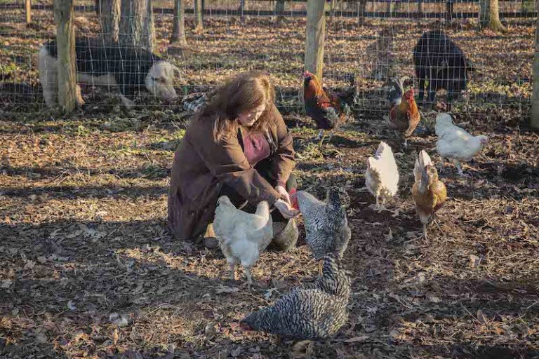 This photo shows Sarah Barwick feeding chickens at Feel Better Farm in Greene County Virginia