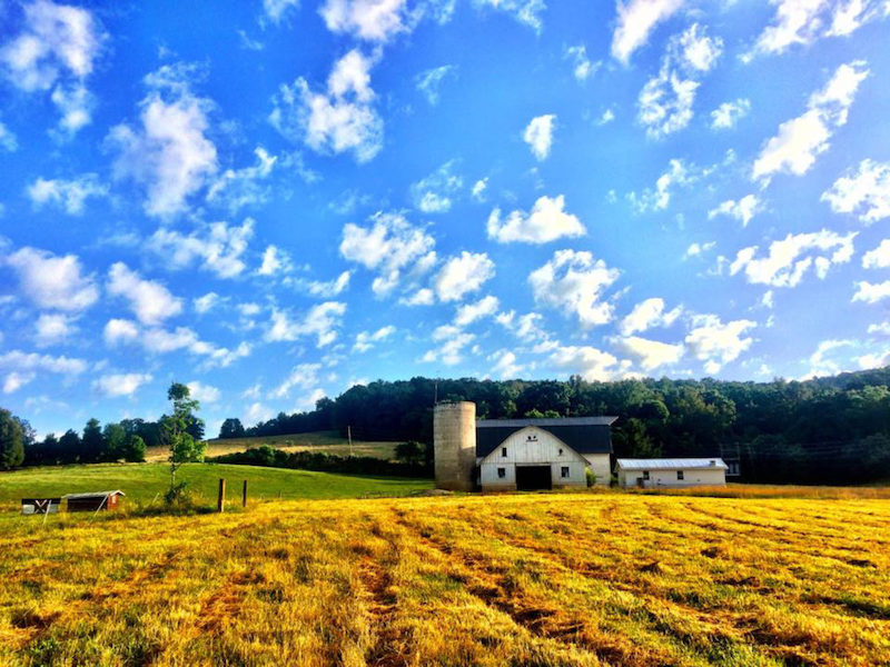 this photo depicts a pastoral view of a barn at Warren Wilson College, one of the country's top sustainable colleges